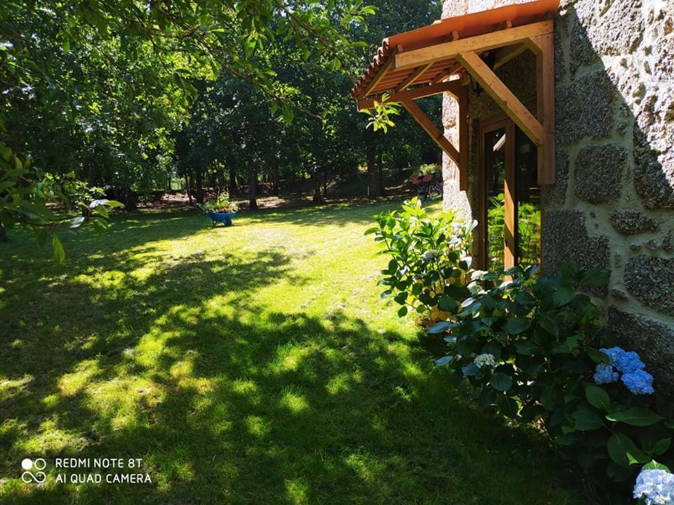 Bed and Breakfast Casas Vale Martinho Santa Comba Dao Exteriér fotografie