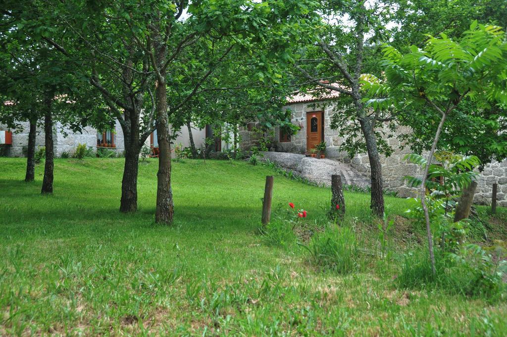 Bed and Breakfast Casas Vale Martinho Santa Comba Dao Exteriér fotografie